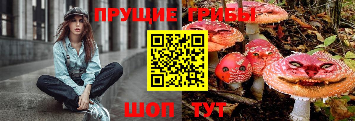 Галлюциногенные грибы прущие грибы  Вход с VPN  Ишим 
