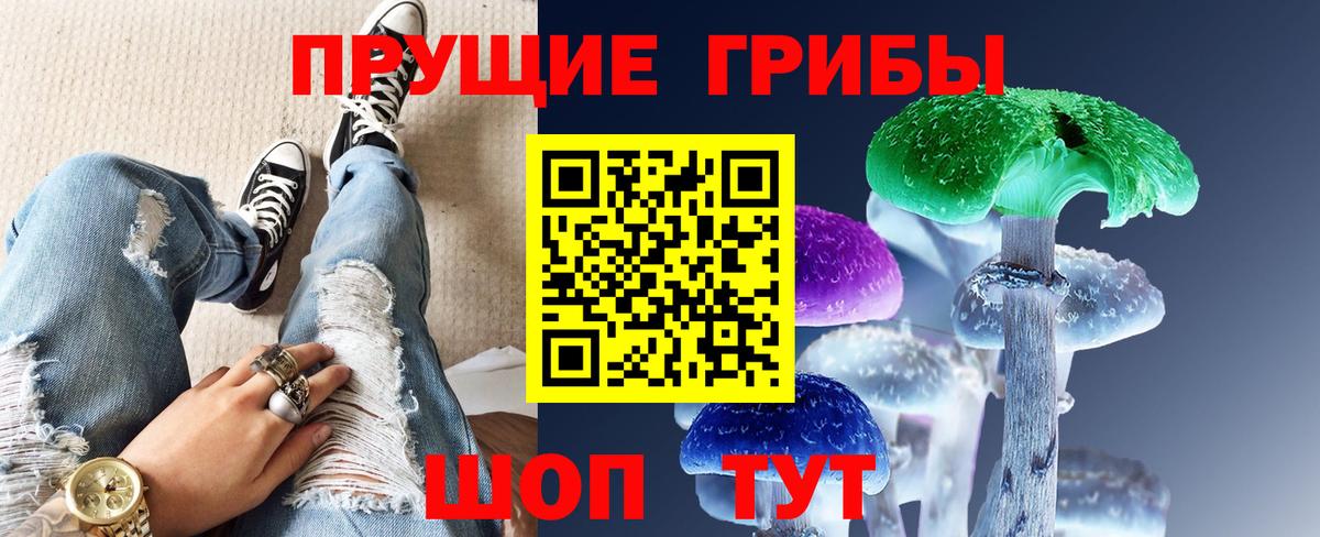 Псилоцибиновые грибы Cubensis Ишим
